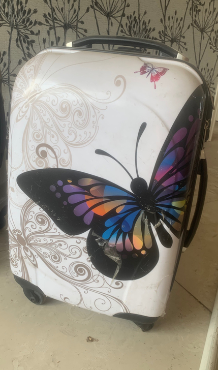 行李箱，拉杆箱，蝴蝶图案