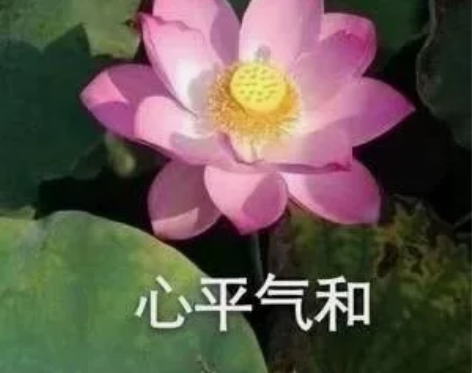 出一个ipad pro 2021 256g...