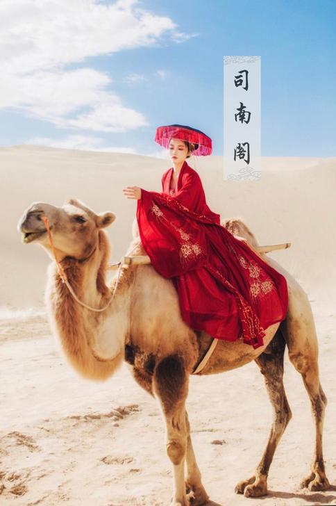退坑出司南阁 赤帝子 s码全套