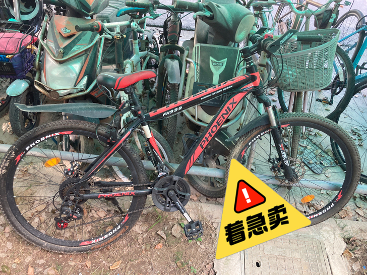 凤凰自行车 100自提 不议价 坐标唐镇