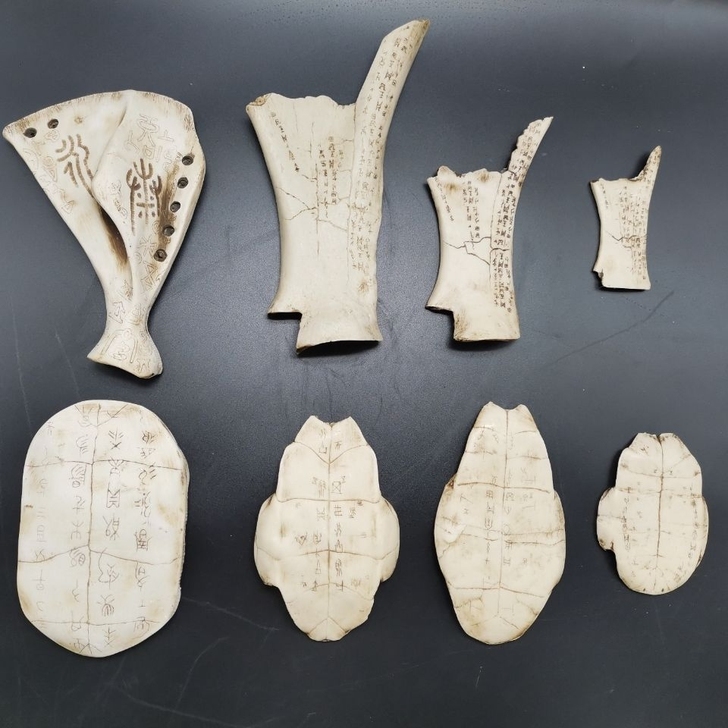仿古骨雕精美甲骨文龟壳文摆件工艺品，有八中...