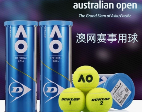 Dunlop/邓禄普网球ATP耐打训练球澳...