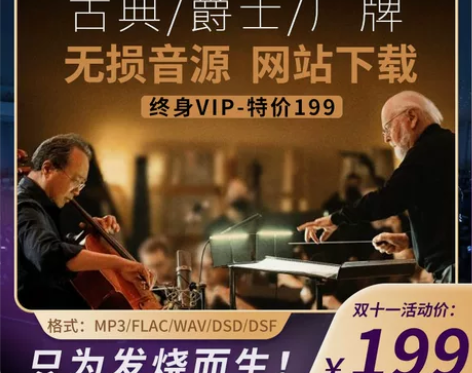 hires无损音乐下载网 终身VIP卡