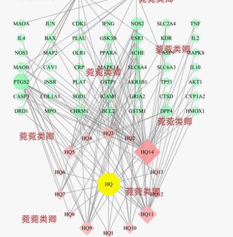 专业网络药理学，分子对接 可帮分析，可教学...