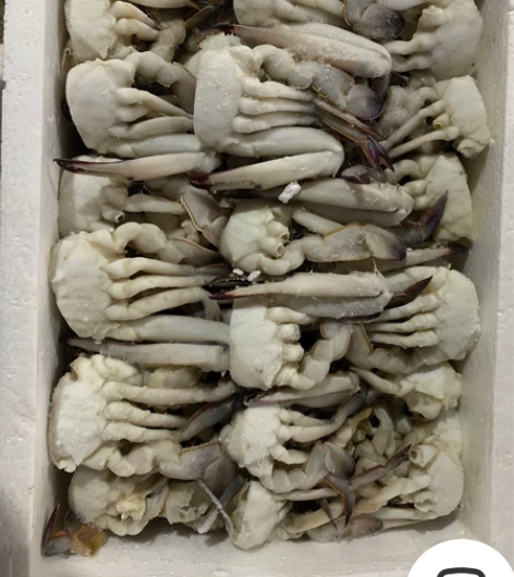 新鲜大切蟹，满满的都是肉  采用纯正海洋野...