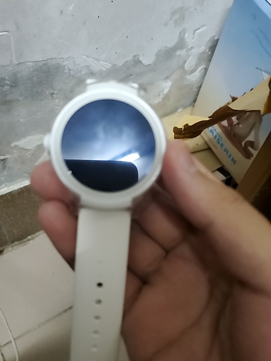 ticwatch e，成色如图，充电器在学...