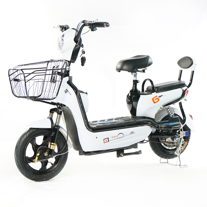 质鑫 电动自行车 8成新。清丰自提