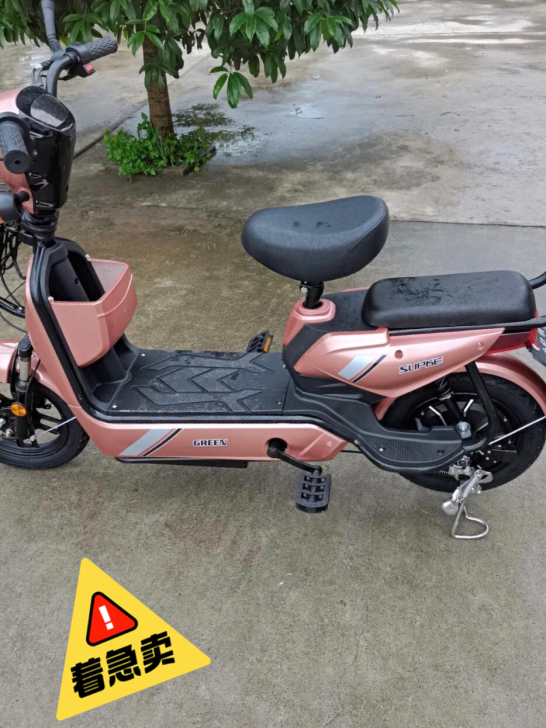 【大甩卖】新款电动车48V电动车小型亲子电...