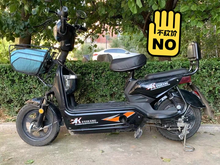 科思康电动车新国标电动车成人电动自行车男女...