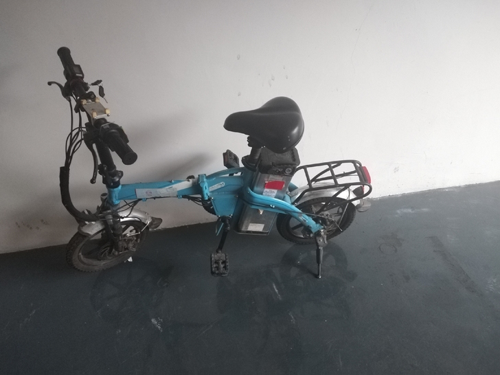 台铃，电机有问题，电池跑不远，没有充电器。