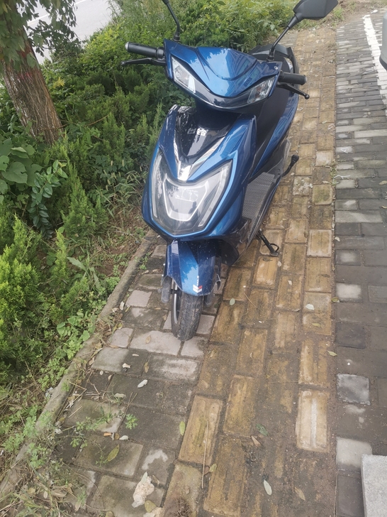 TAILG/台铃（运动户外） TL800D...