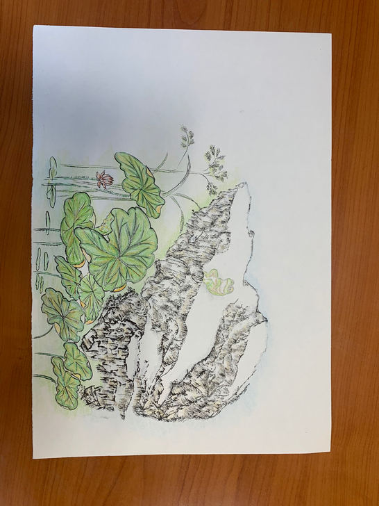 自绘毛笔彩铅画