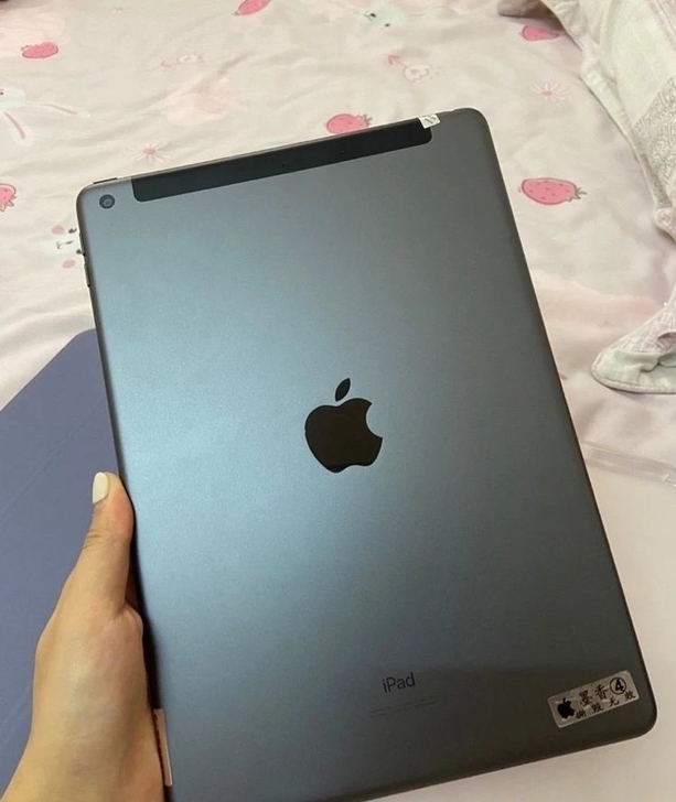 苹果 ipad 所有型号 都有游戏,网课必...