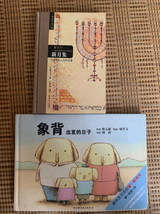 泰戈尔新月集象背出发的日子