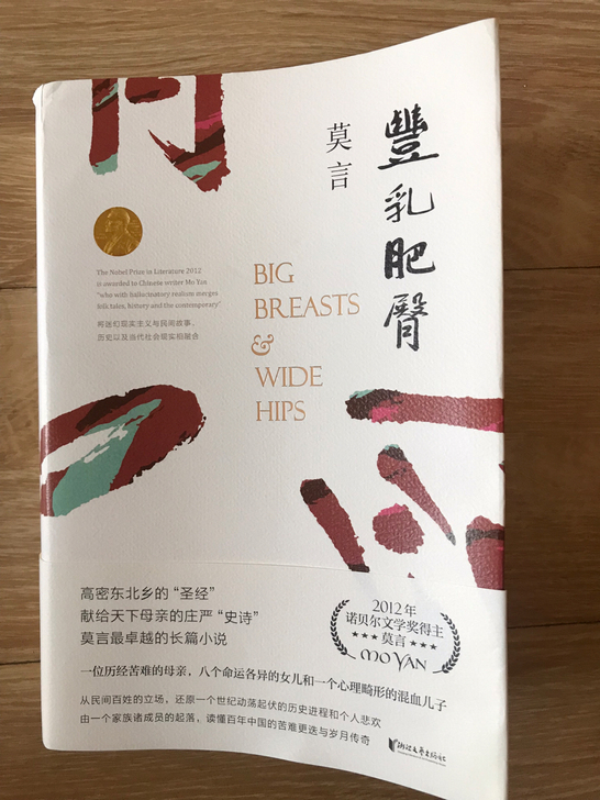 莫言长篇小说，故事年代跨度大，情节跌宕起伏...
