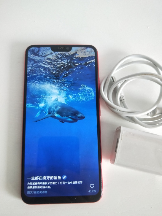 vivox21i  6g运存高配手机。双卡...