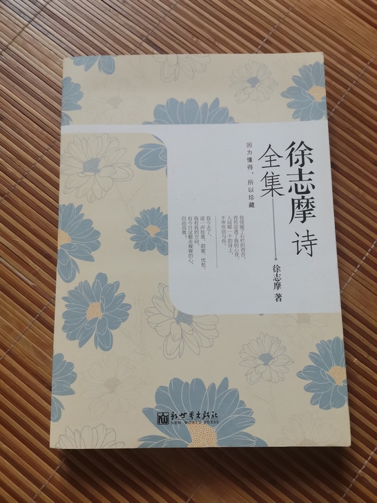 徐志摩诗全集