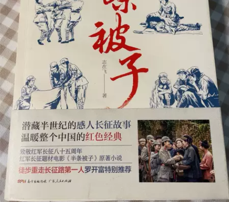 历史小说类书籍：《半条被子》书籍九成新 红...