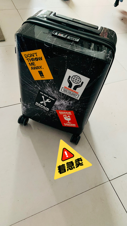 品牌型号  地平线八号