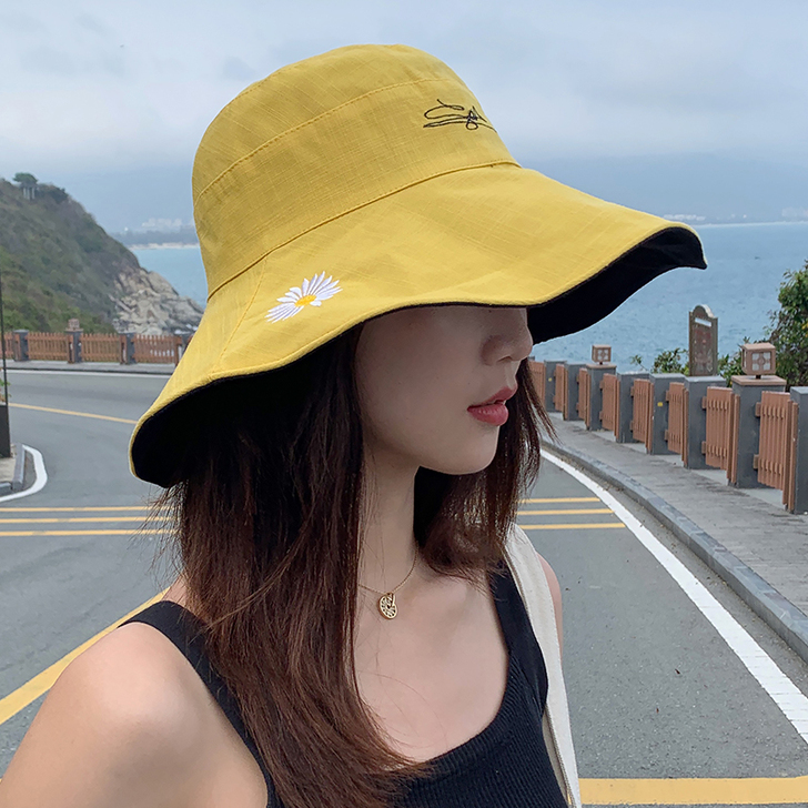画蔻 帽子,全新,没戴过