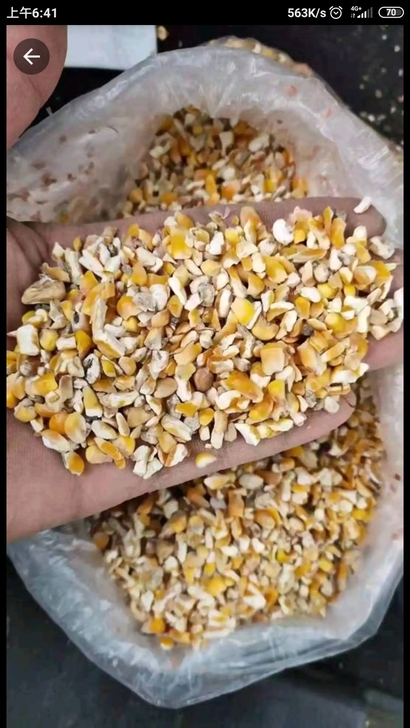 出售各种鸡鸭鱼鹅牛羊马馿的家禽饲料，《柔丝...