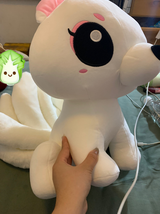 娃娃都是自己在娃娃机夹的 回来就放箱子里,...