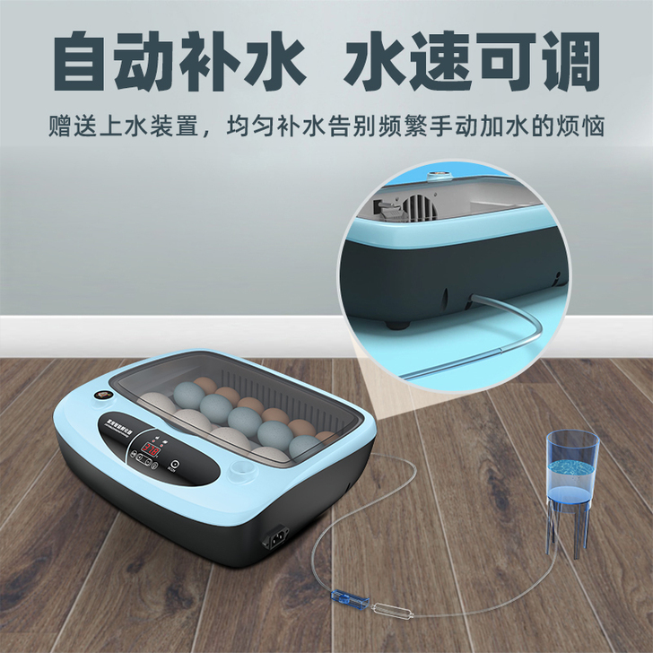 威振三色迷你孵化器小型家用全自动智能孵化机...