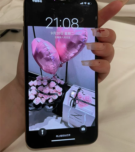 11pro Max 256G 自用 不是那...