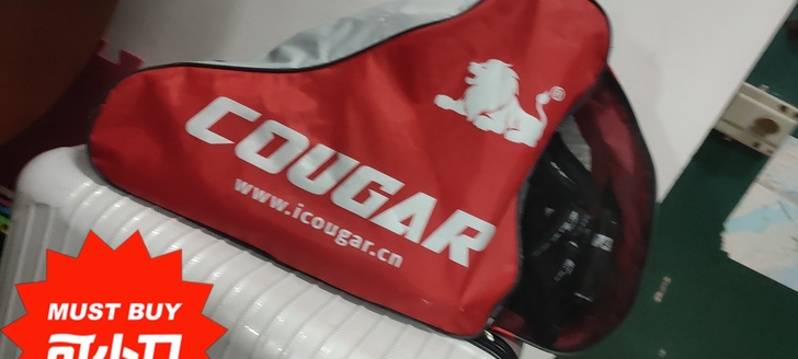 美洲狮轮滑鞋36-39码，新旧程度 九成新...