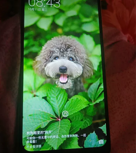 海信智能手机。闲着转卖。便宜出手 感兴趣的...