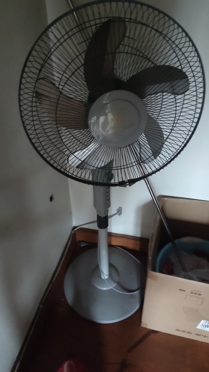 只支持自提，或者货拉拉自取