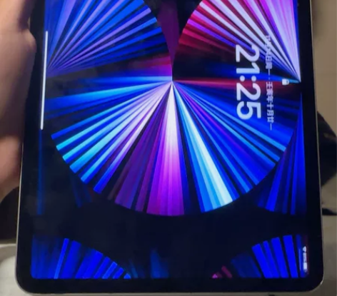 ipadpro 2021 国行自用 电池2...
