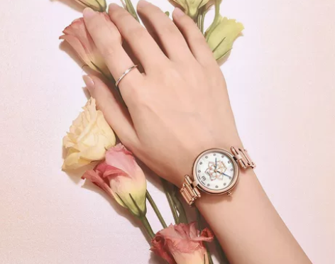 雷诺机械手表女简约气质时尚细带小巧防水钢带...