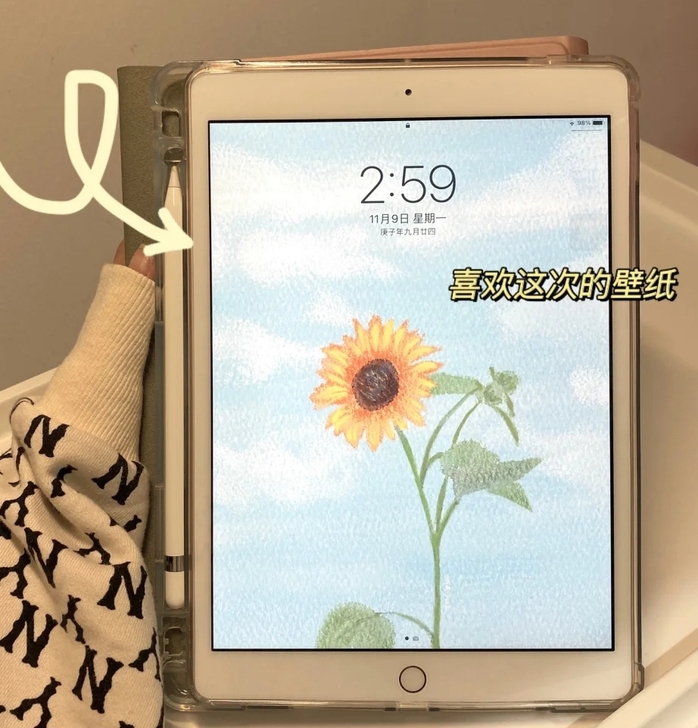 工作室自用机 ipad2019款128g内...