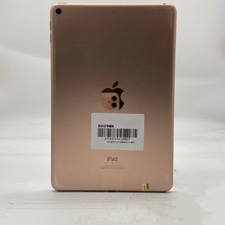 9新苹果 2019新款iPad Mini ...