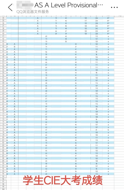 IG数学，Alevel数学P1，S1，P3...