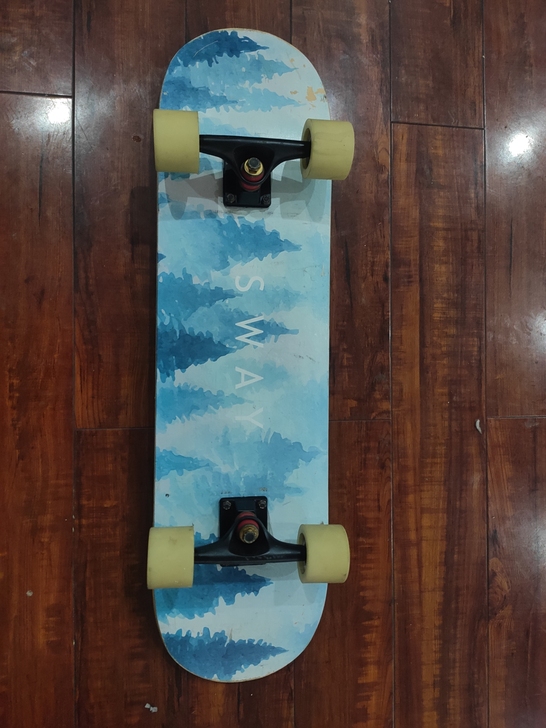 甩卖 滑板 少儿滑板 成人入门滑板 玩具板!