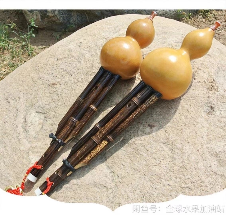 葫芦丝乐器初学者防摔c调小学生入门成人降b...