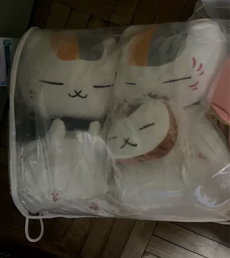 出两个猫老师一番赏 一个86 俩150包邮