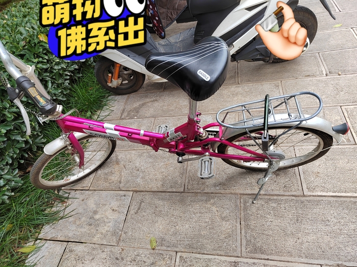 女士折叠自行车，白菜价，自提，师大（呈贡）...