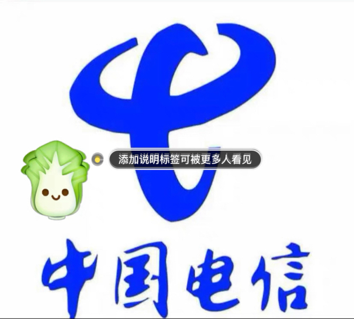 全国电信充值，Hua费充95=100