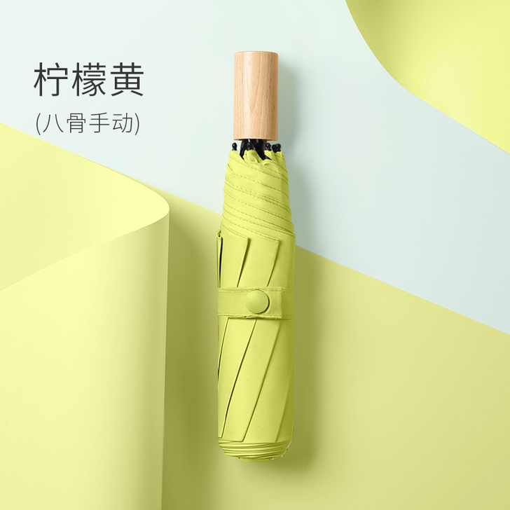 shaine/喜琴 伞