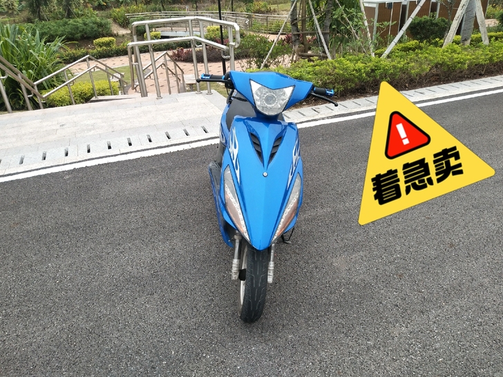 过几天要回老家急着出只限同城自提