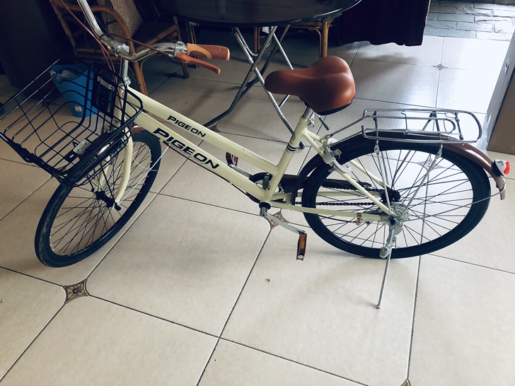 全新飞鸽自行车