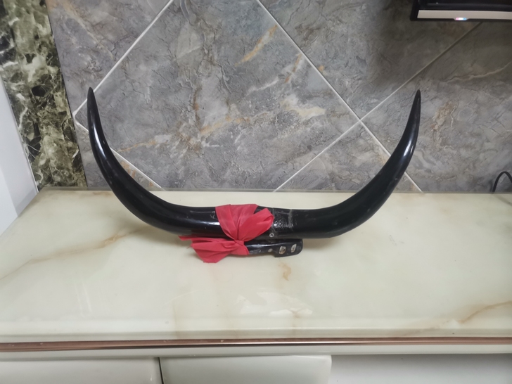 原牛角店铺摆件存货，材质牛角，高25cm，...