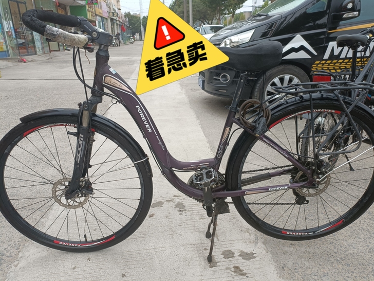 永久长途旅行车,24速,线碟,铝合金车架,...