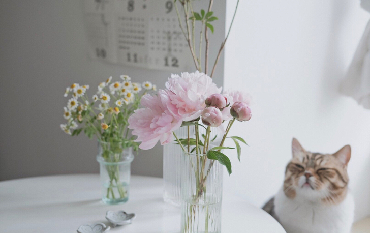 拒绝熬夜，提醒早睡。