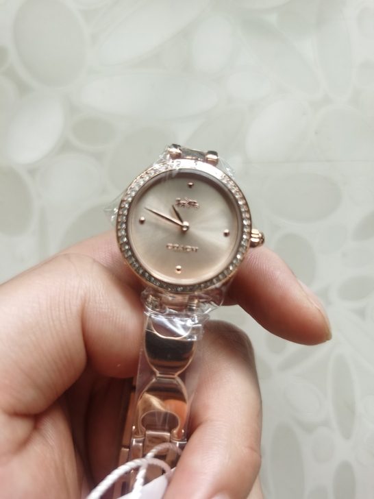 蔻驰COACH女表，石英表，全新。