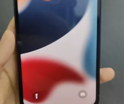 iphone 12  内存64G  国行 ...