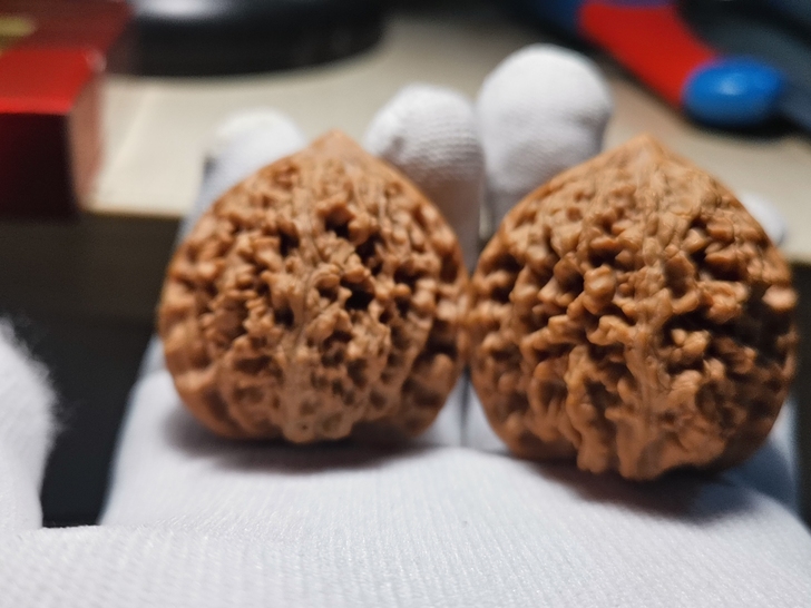 野生流星雨狮子头， 野生果，小众品种，市场...